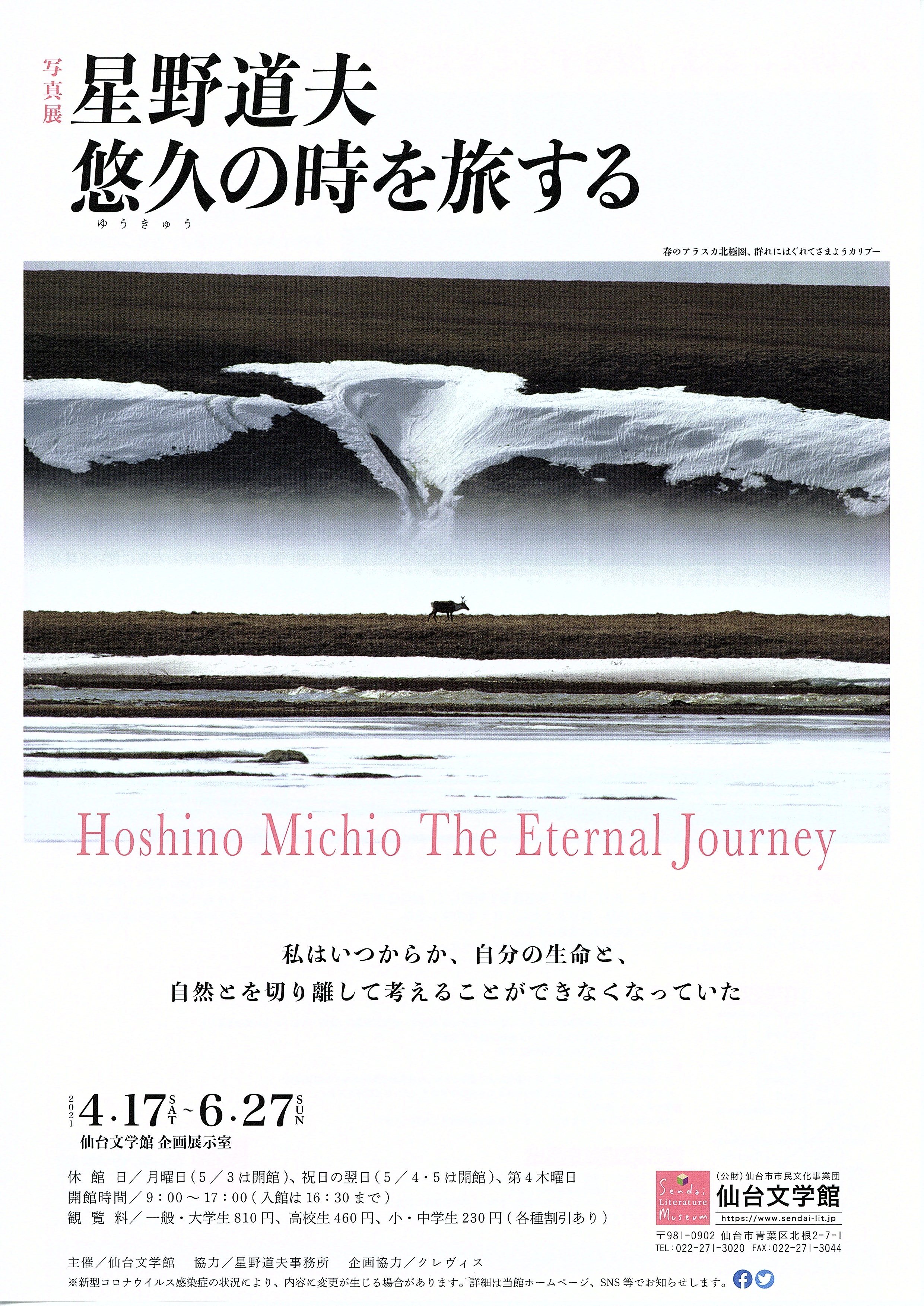 写真展 星野道夫 悠久の時を旅する｜仙台文学館