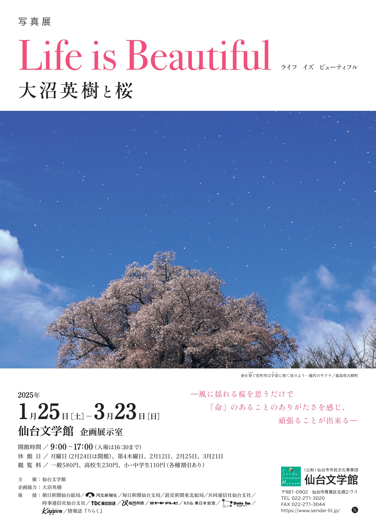 仓桥望 仙台文学館｜ことばの杜をあるこう